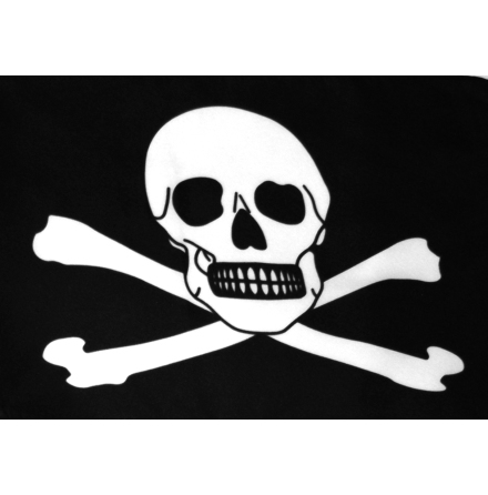 Piratflagga 30x45cm