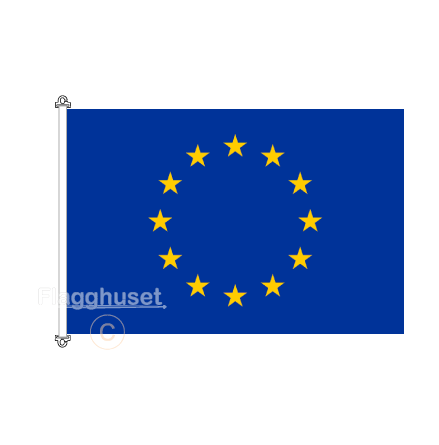 EU flagga 